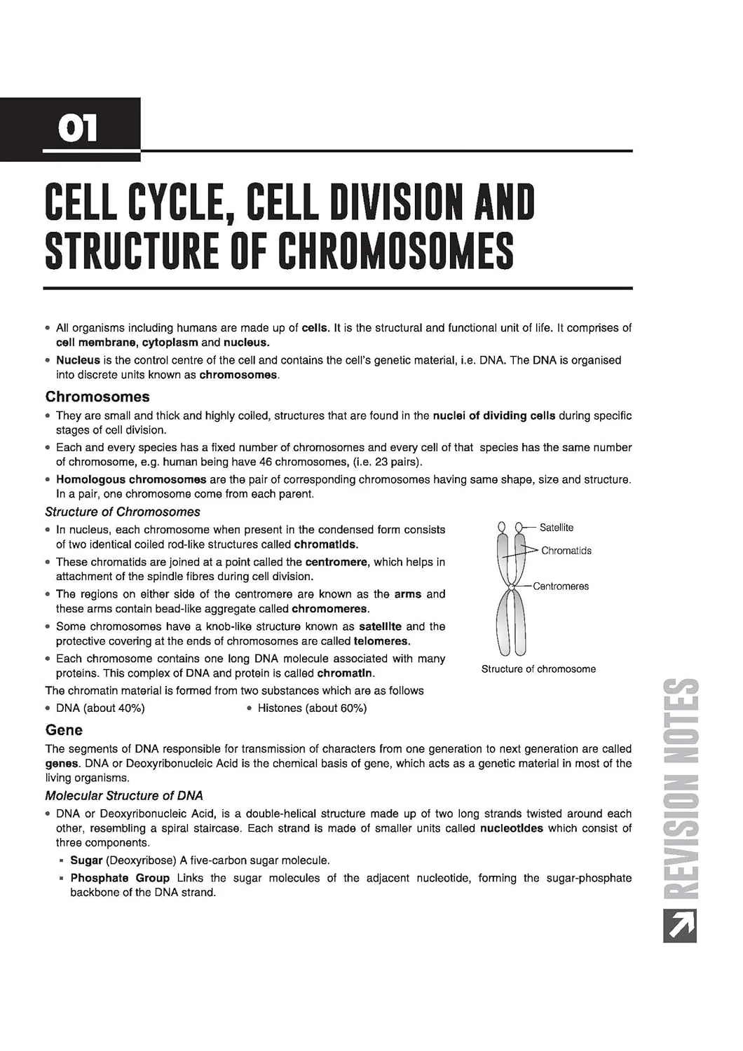 ICSE Biology Class  10 Exam | Quick Theory, Exam Pattern Questions & Sample Papers | As per Latest ICSE Syllabus | Que Bee 2nd Edition - Image 5