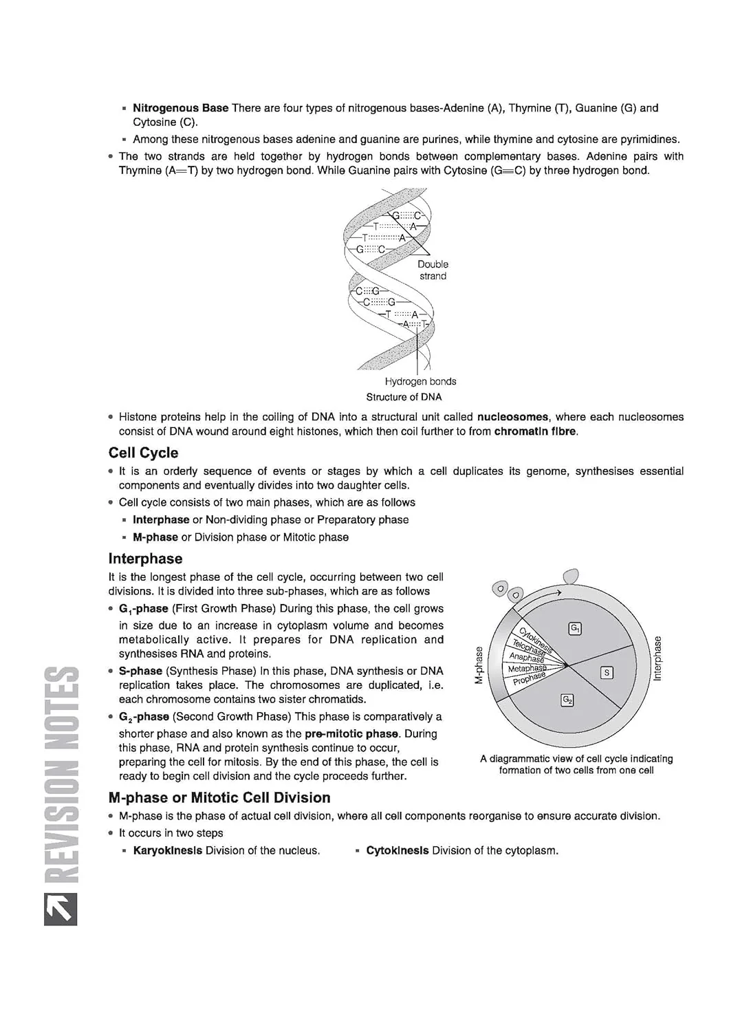 ICSE Biology Class  10 Exam | Quick Theory, Exam Pattern Questions & Sample Papers | As per Latest ICSE Syllabus | Que Bee 2nd Edition - Image 7