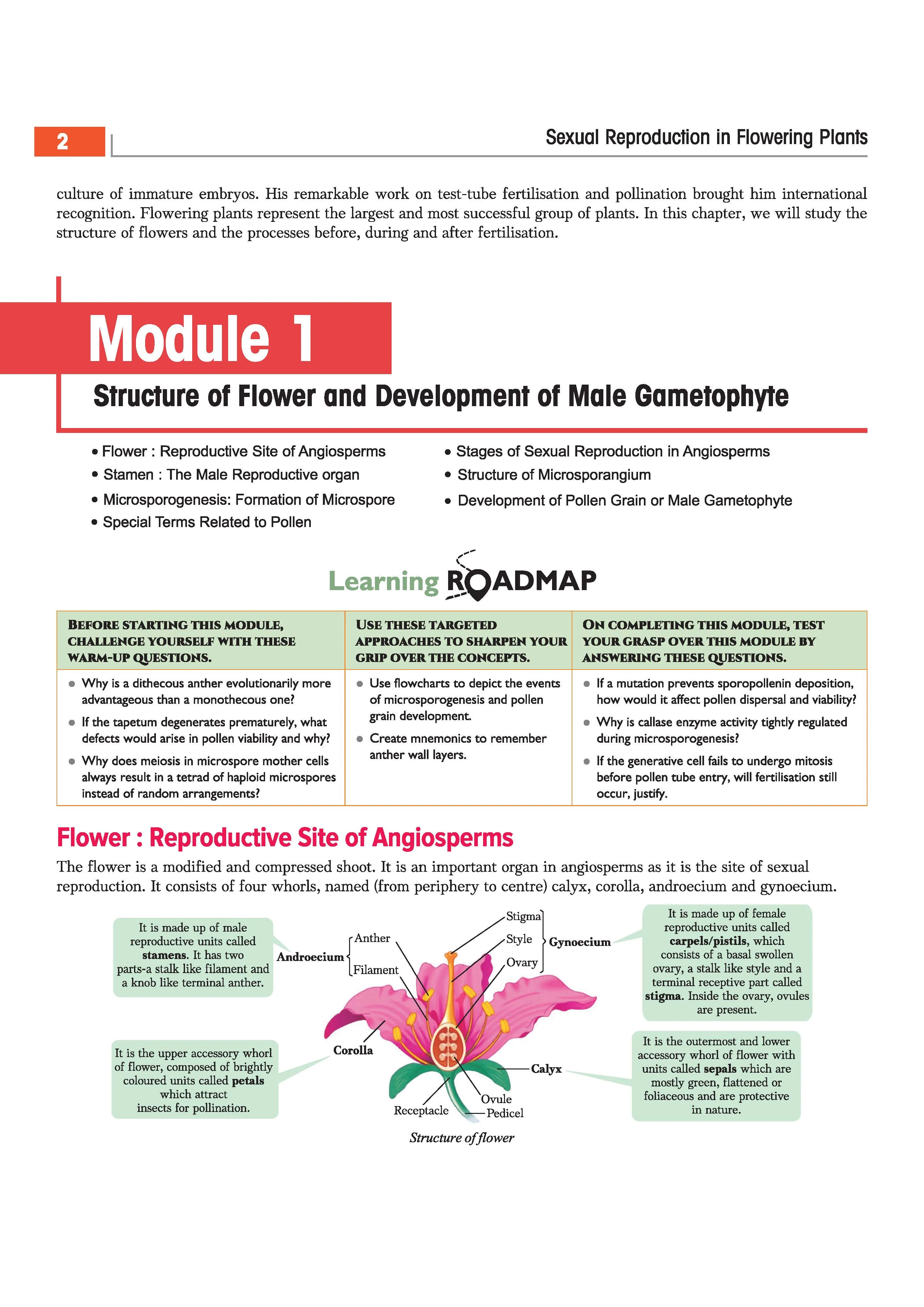Objective Biology Volume 2 for NEET 2027 | Medico Achiever’s Series | 2000+ MCQs with PYQs Synced Modular Theory | Fully Revised NEET Preparation Book by Sanjay Sharma & Sudhakar Banerjee - Image 9